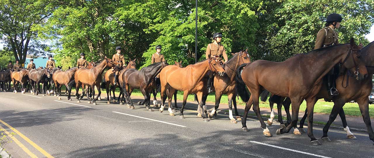 Woolwich History Walks photography